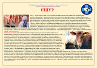 Информация