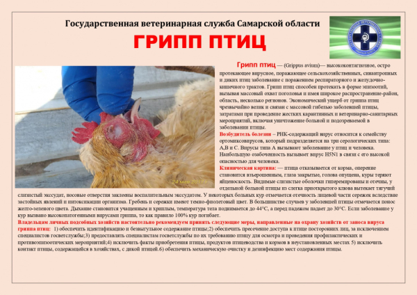Внимание!!!