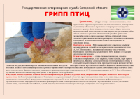 Внимание!!!